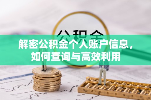 颍上解密公积金个人账户信息，如何查询与高效利用