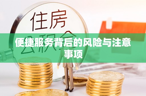 颍上便捷服务背后的风险与注意事项