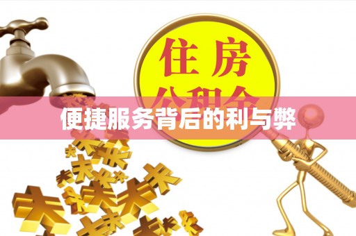 颍上便捷服务背后的利与弊